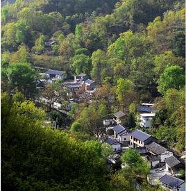 王壩鄉[甘肅康縣王壩鄉]