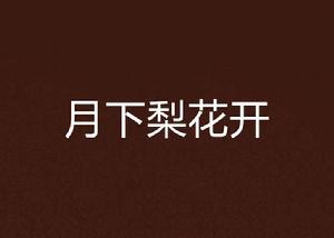 月下梨花開 月下梨花開