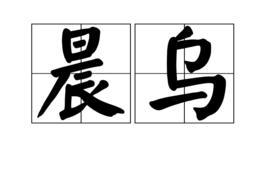 晨烏 晨烏