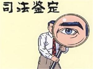 司法親子鑑定圖片