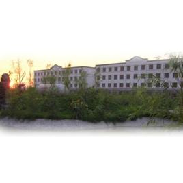 野風美術中學 野風美術中學