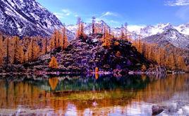 東谷天然盆景 東谷天然盆景