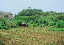 永寧街道[南京市浦口區永寧街道]