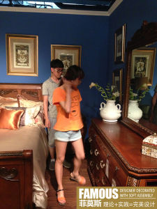 菲莫斯室內軟裝培訓學校 菲莫斯室內軟裝培訓學校