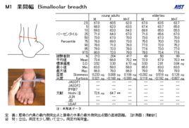 內外踝間寬 內外踝間寬
