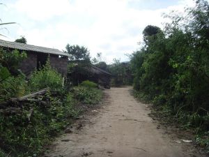 光明四隊村 光明四隊村