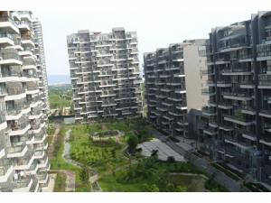 天倫隨園 天倫隨園