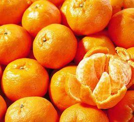 永春椪柑 永春椪柑