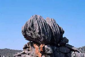 普西羅芮特地質公園