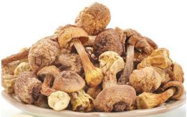 松茸磨菇 松茸磨菇