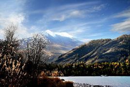秋霜與冬雪 秋霜與冬雪