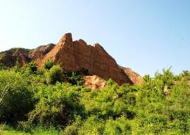大柴村[山西省臨汾市襄汾縣南賈鎮大柴村]