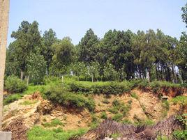 玉皇山戰鬥遺址 玉皇山戰鬥遺址