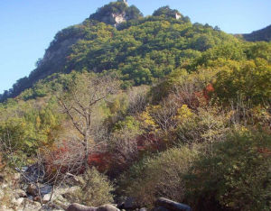 天華山國家級自然保護區 天華山國家級自然保護區