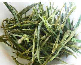 白霜霧毫 白霜霧毫