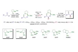 Ender腙烷基化反應 Ender腙烷基化反應