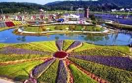 韶關大唐花海 韶關大唐花海