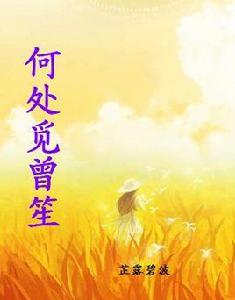 何處覓曾笙 何處覓曾笙