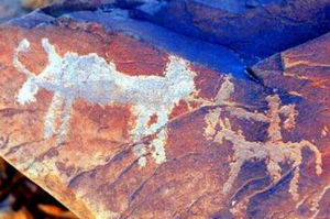 西藏岩畫 西藏岩畫