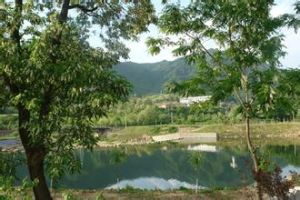 東河橋村 東河橋村