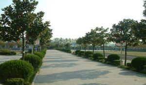 六合區靈岩國小 六合區靈岩國小