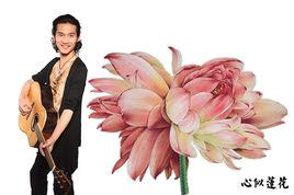 心似蓮花 心似蓮花