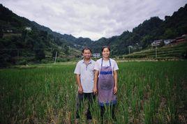 頂樑柱健康扶貧公益保險項目 頂樑柱健康扶貧公益保險項目