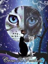 鴉羽&amp;羽尾（鴉羽）