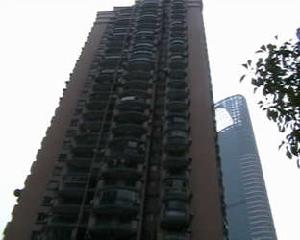 大同花園二期 大同花園二期