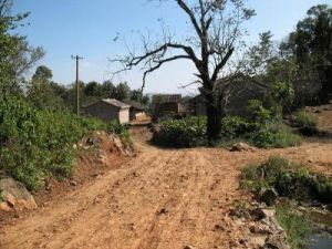 小水塘自然村 小水塘自然村