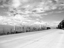 滄世浮華百味生