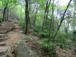 鵝山公園 鵝山公園
