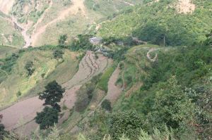 新虎熊家村 新虎熊家村