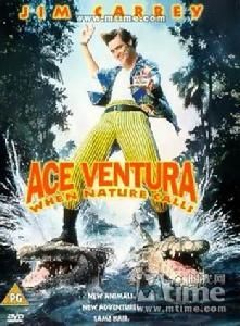 神探飛機頭2 神探飛機頭2