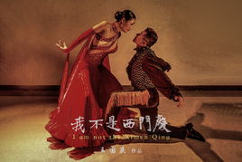 我不是西門慶[2016年王國慶執導電影]