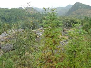 聾達自然村 聾達自然村