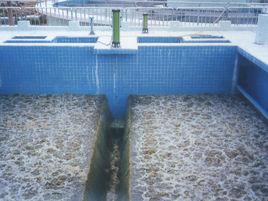 濾池氣水反衝洗 濾池氣水反衝洗