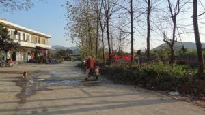 鄧家塘自然村 鄧家塘自然村