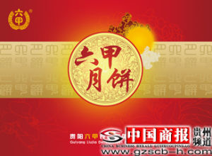 貴陽六甲食品有限公司