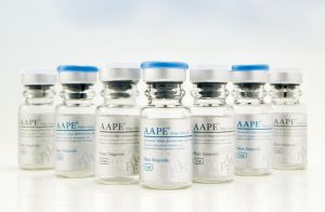 AAPE細胞重生蛋白