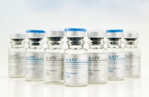 AAPE細胞重生蛋白 AAPE細胞重生蛋白