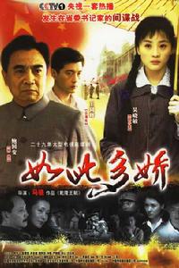 如此多嬌[2004年馬驍執導電視劇]