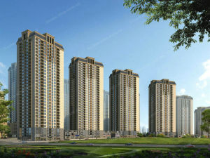 盤江青春志 盤江青春志