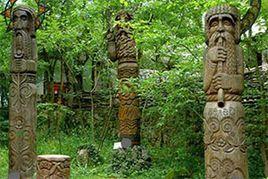 恐怖森林逃脫 恐怖森林逃脫