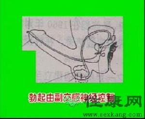 交感神經鏈綜合徵