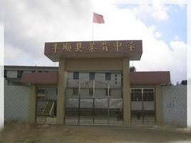 茶背中學 茶背中學