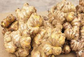 羅平小黃姜 羅平小黃姜