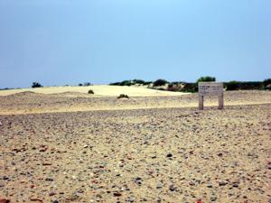 齊德哈仁細石器遺址