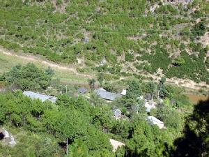 夫場村自然資源-生態林