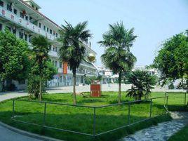 合肥飛躍職業技術學校 合肥飛躍職業技術學校